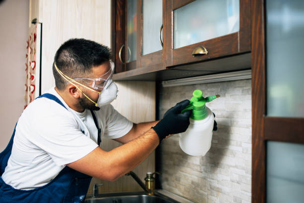 Best Flea Control Services  in Belmont, VA