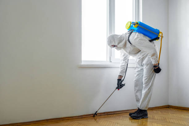 Best Insect Control  in Belmont, VA