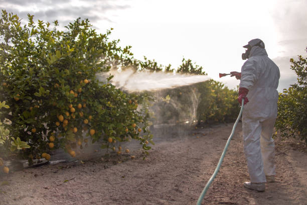 Best Local Pest Control Services  in Belmont, VA